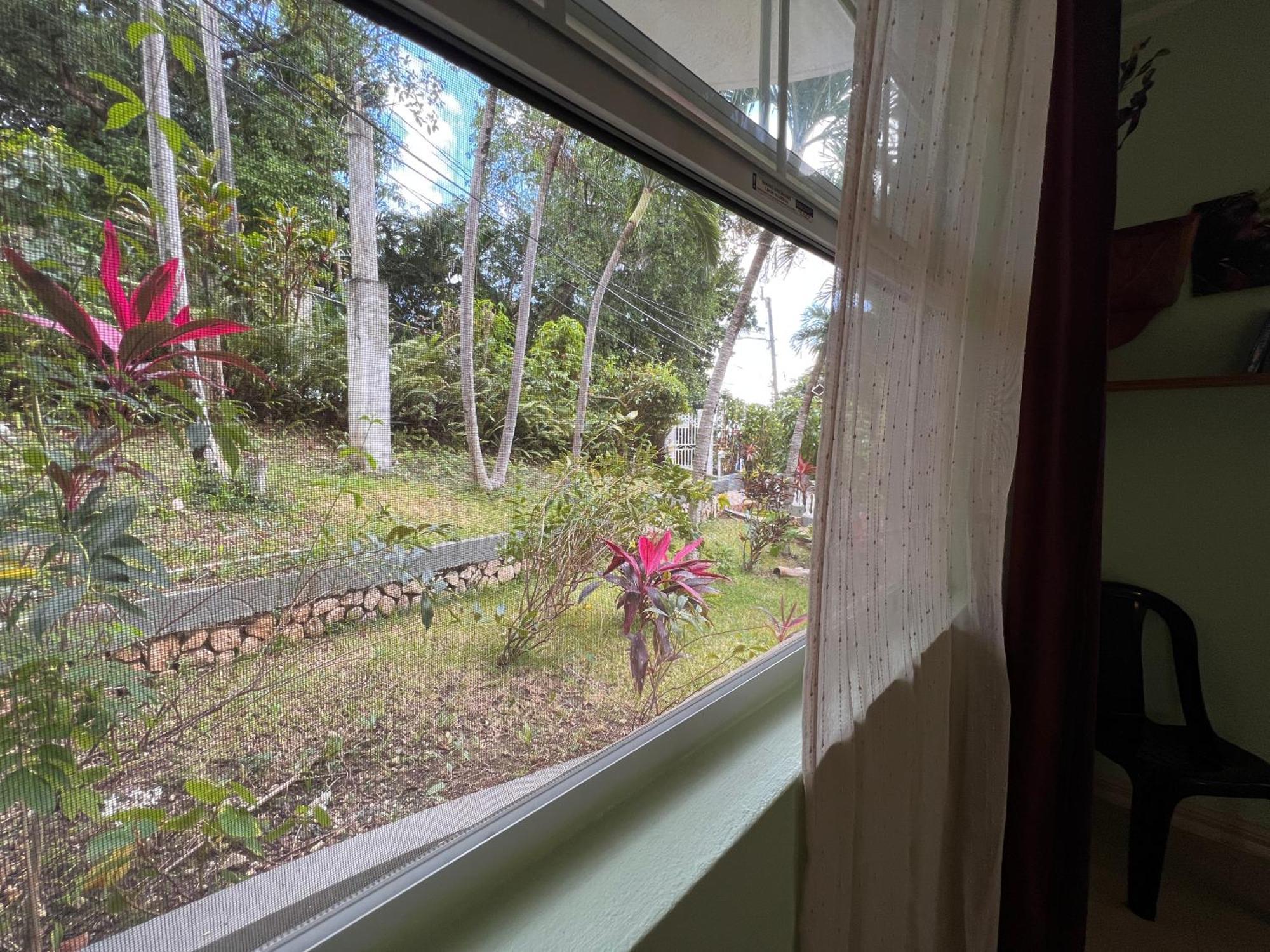 All Nations Guest House Port Antonio Pokoj fotografie